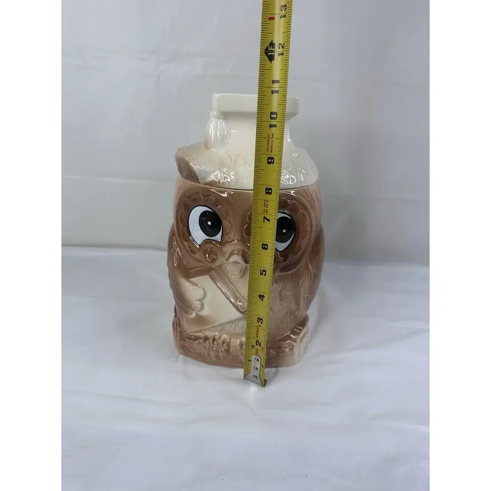 Scholarly Wise Old Owl Cookie Jar MCM Vintage Made in Japan